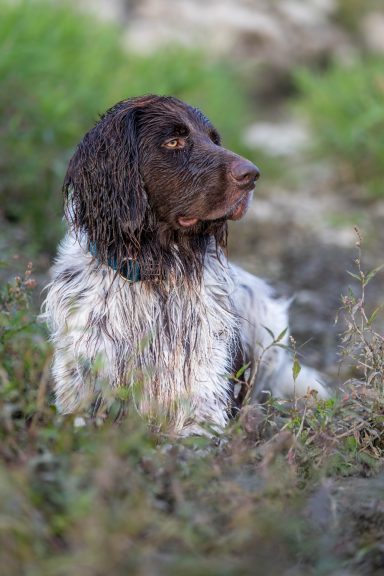 Fotografin Pförring
